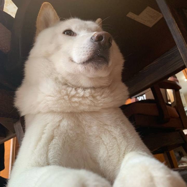 F9b77c5d e06b 4213 951d 3a5efc05d0ae 1577321336381