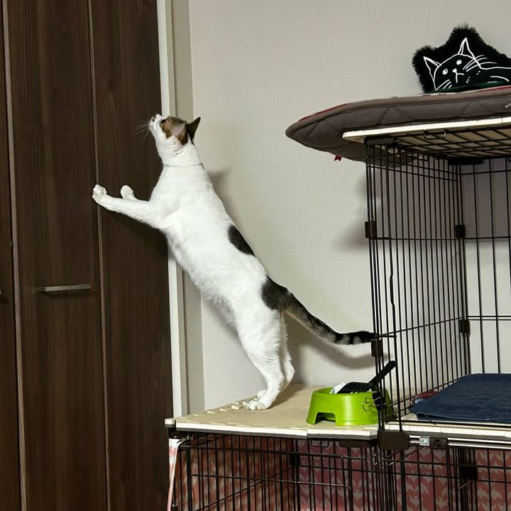 F9b7a08a 0d94 4f44 b19a 5fff6d236b69 1758713299499