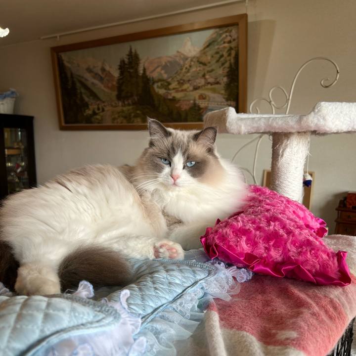 F9b7e75c 4d8e 4d35 adb3 522bfe5fba4f 1685790704941