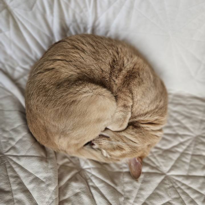 F9b7f337 4dfc 4c9a b36d 4634650cf690 1699675884240