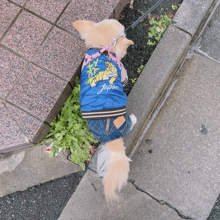 F9b80ef3 4a5a 4ec6 ae72 8a6491d8c327 1700998097957