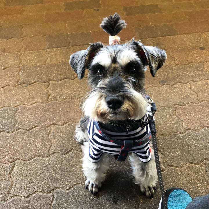 F9b80fd1 c843 45eb 885a 5daae8d934e2 1665245327689