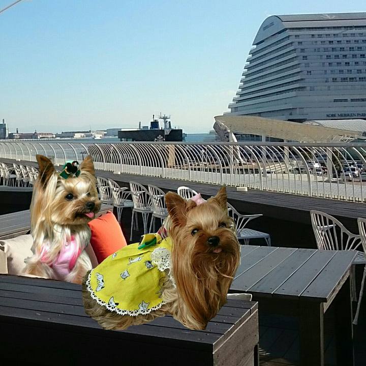 F9b82c78 309b 4c24 a5fd fab970c40fc3 1515754347477