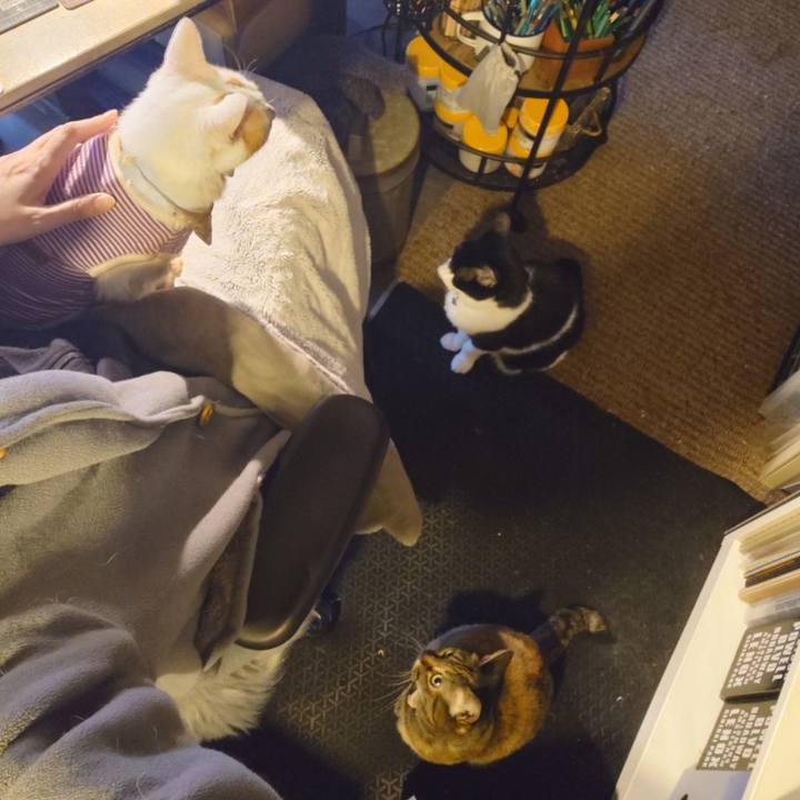 F9b84302 fe93 43c3 8d54 ff36bdbab64d 1773907406040