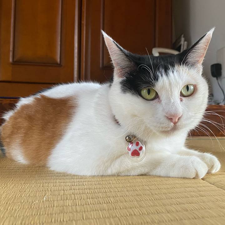 F9b85d8f 1903 4417 be26 3ba36571b3b4 1727493277417