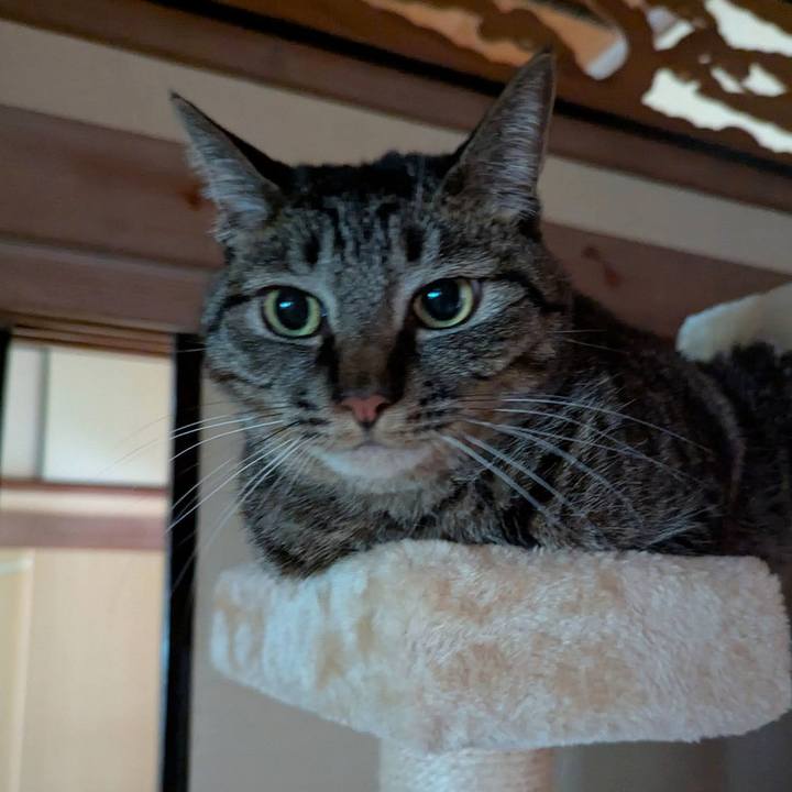 F9b85e9f f621 4be9 9234 d4690827b707 1747898844257