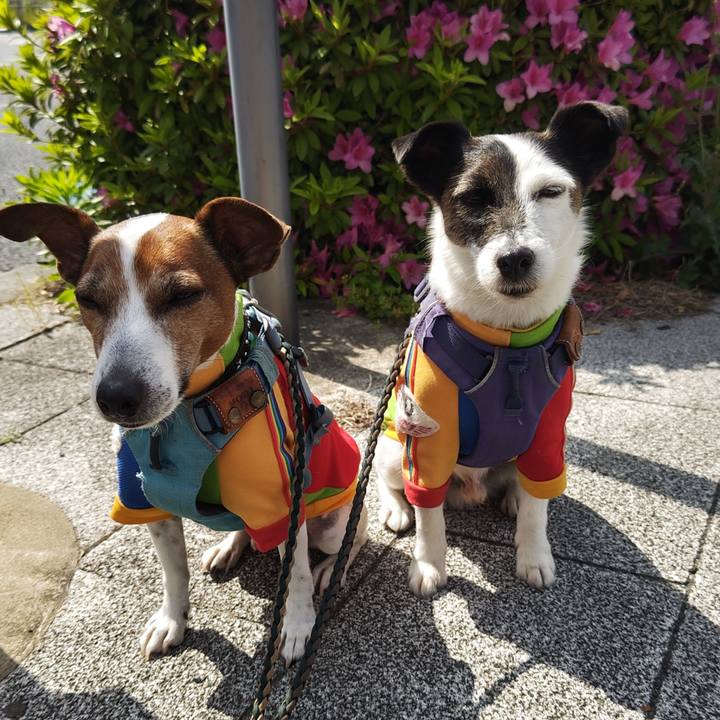 F9b872ec a951 43b4 b71d adc9260b1225 1746423028787