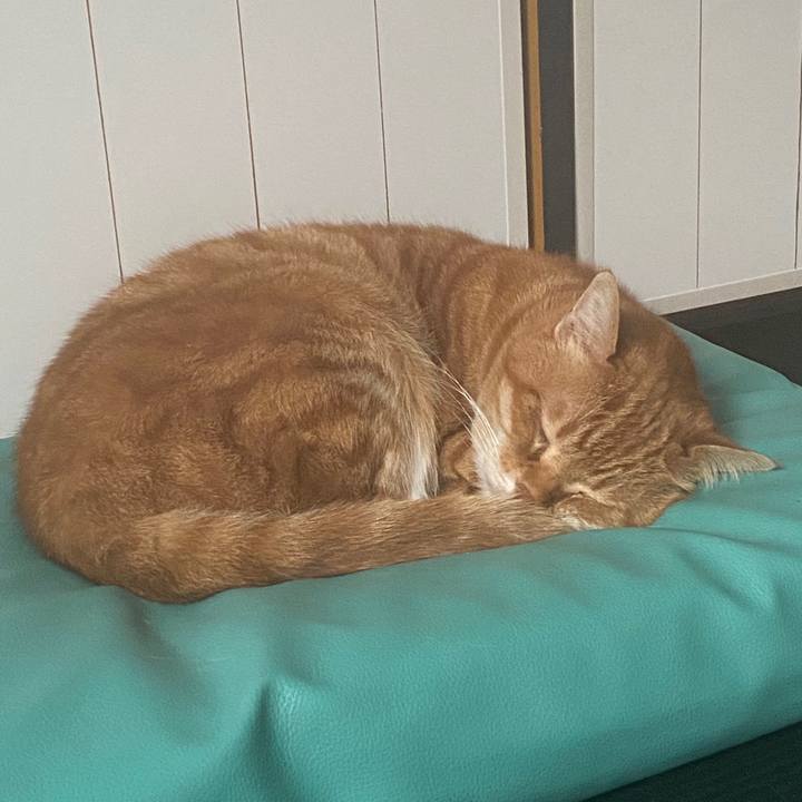 F9b879d1 c052 49ef bb0d 8d0f36d40907 1590007996115