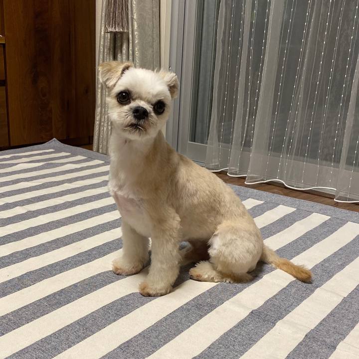 F9b88777 ee01 4011 99b1 311cdcf0e280 1570098161322