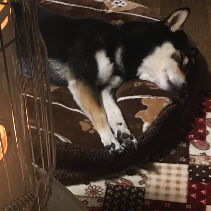 F9b8913c 7859 48ae 8e2f 9d3c3b6673a1 1584021390292