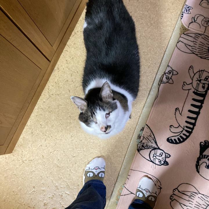 F9b8a5ac a926 41e3 9a9c 97f0fc16195b 1716691048422