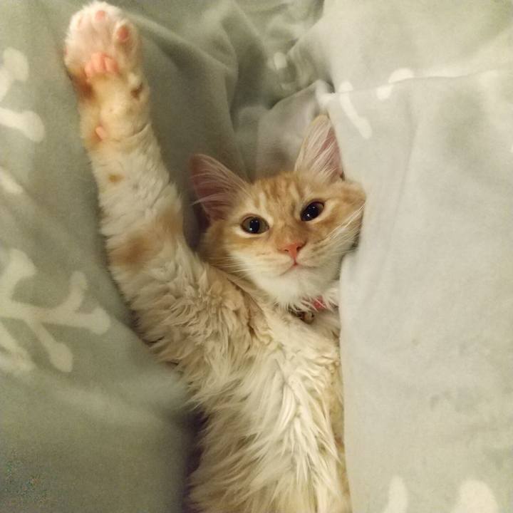 F9b8c203 1b70 475e a946 2287ad39eb05 1618583039066