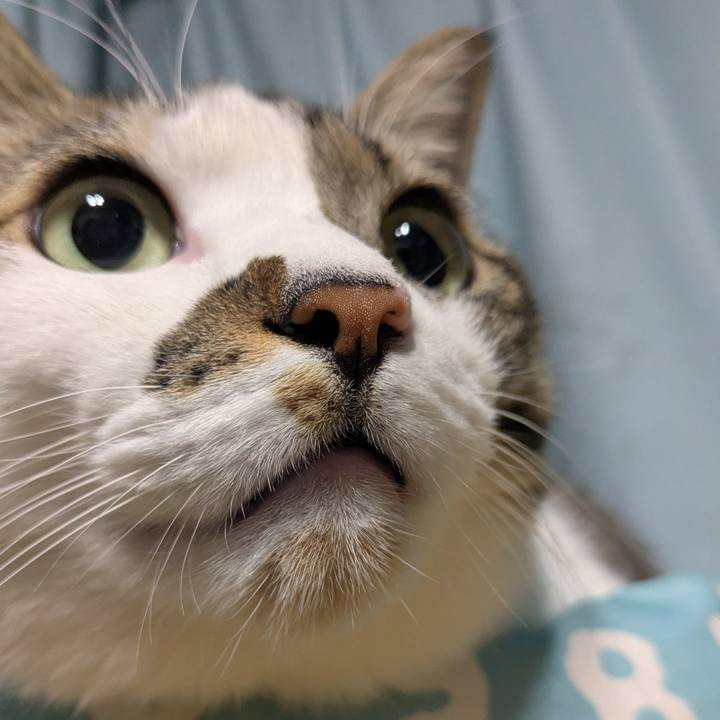 F9b8d012 1239 4b1c b511 de23e4b08d6e 1768138038418