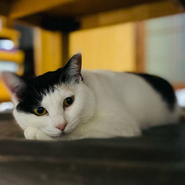 F9b92bb8 102e 4133 a279 da3d227eb059 1650924767066