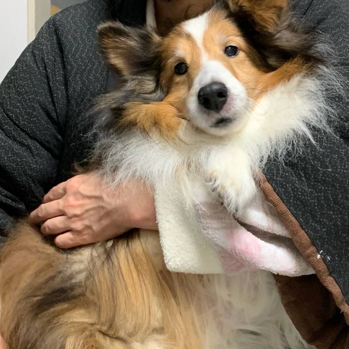 F9b940bd 39f2 41e9 b4ae ab430f1d90fc 1736056776871