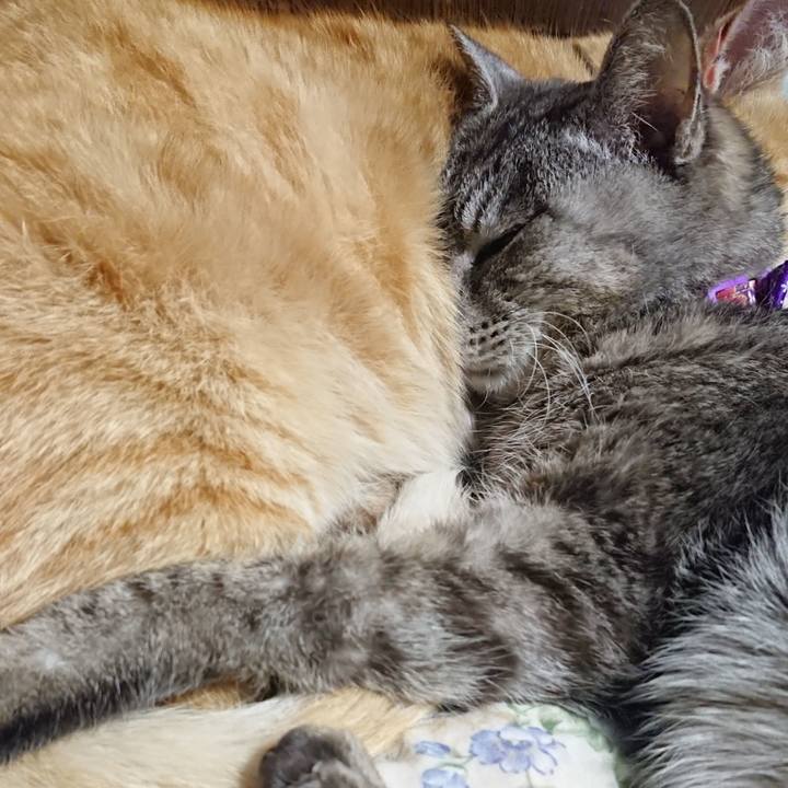 F9b97f65 dd11 4aea 9beb 49a933515acd 1587907828274