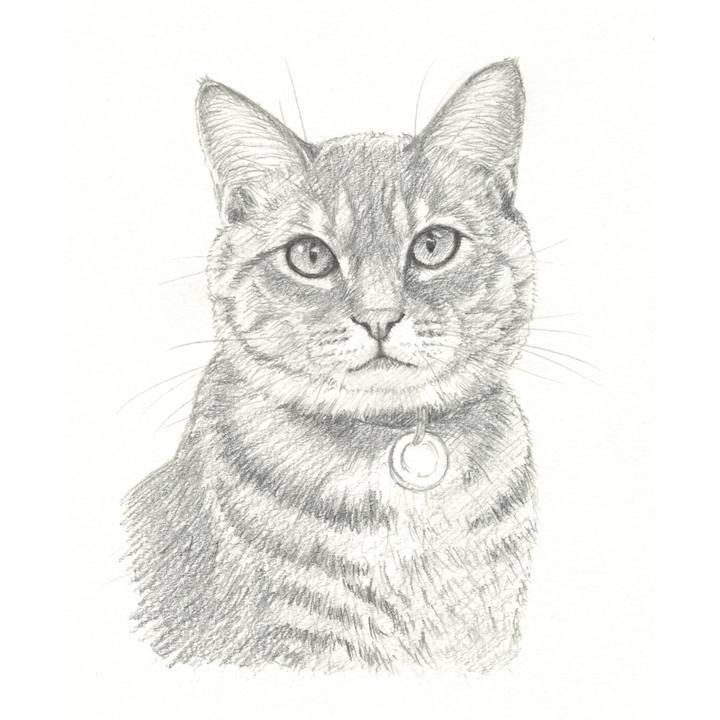 F9b98187 aa63 4645 bf87 cfa3a409950c 1540036370817