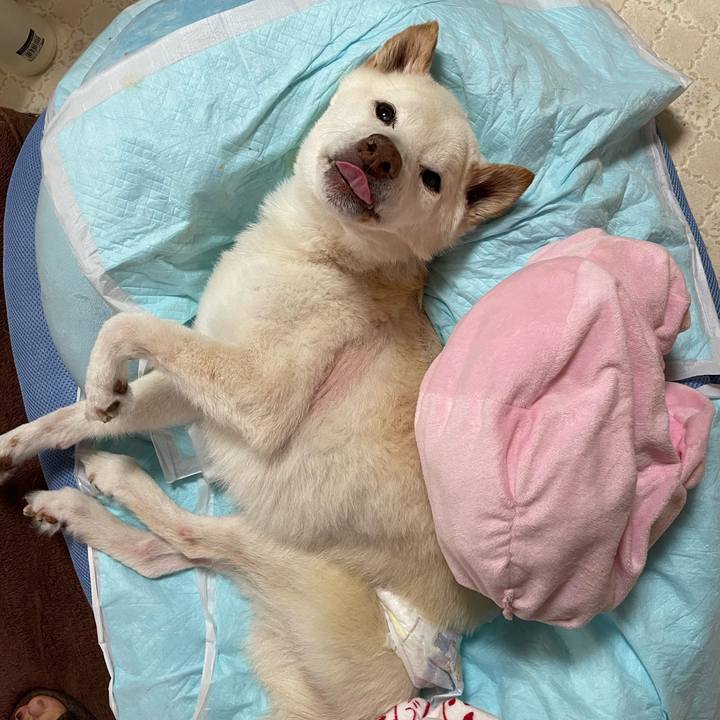 F9b9887a f6e9 4f7d b92b fb618c4b125e 1686315390272