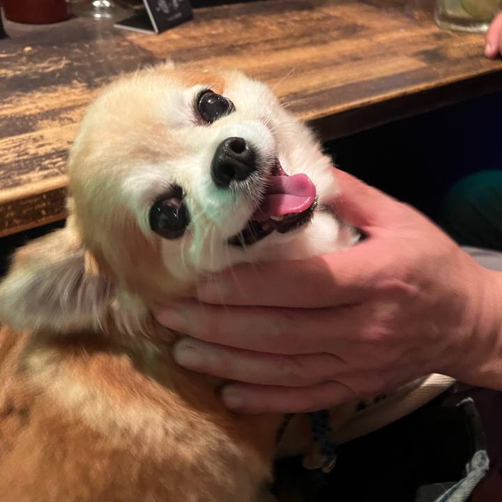 F9b9be97 50ad 4c52 87d6 a6455dcbc618 1762095016865