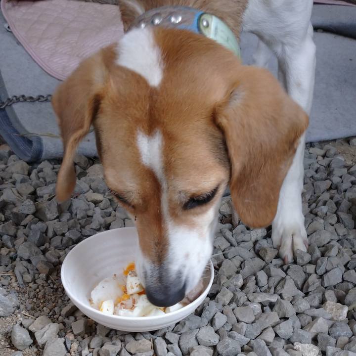 F9b9c3c7 c78e 4400 a7d2 60f7ecc13b3f 1615525864344