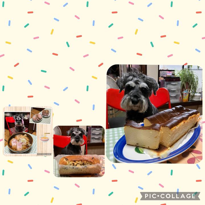 F9b9dad2 46a2 4f08 a105 399fcb7e791d 1731115540006