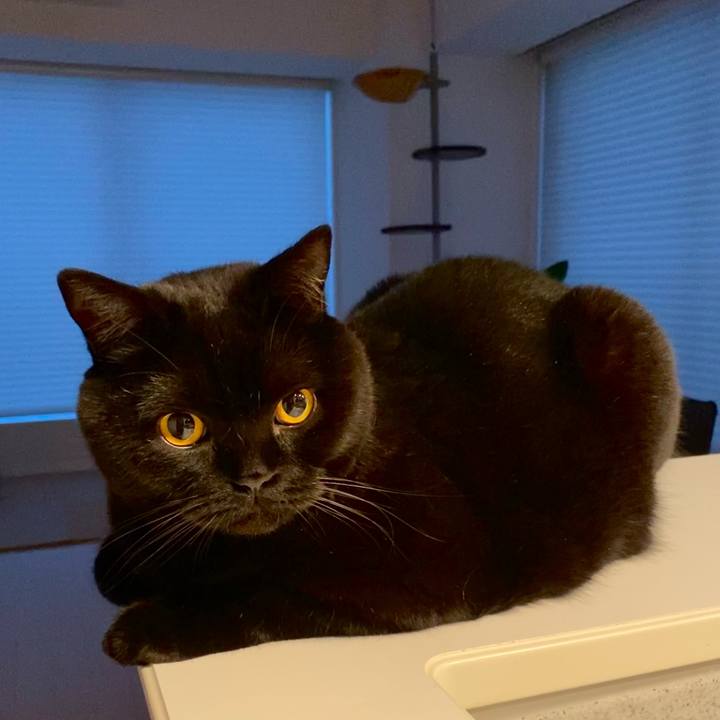 F9b9e164 38d0 4272 a71e f7a602cd1f82 1637097478650