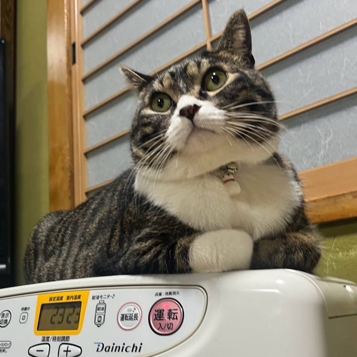 F9ba0804 c6e5 4ebb 9603 dbc5837e1880 1767496008523