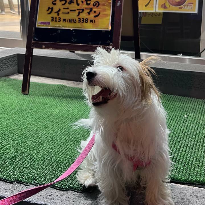 F9ba7c1b a68d 4d4f b839 bc061f7a4d58 1758460121217