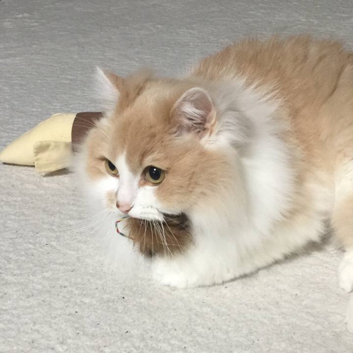 F9ba8b76 960a 4167 b035 70b446f17769 1527325588259