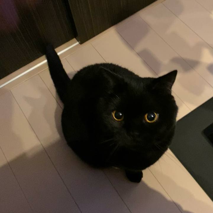 F9baff72 8966 470e 9b92 cf57331084d4 1708426848584