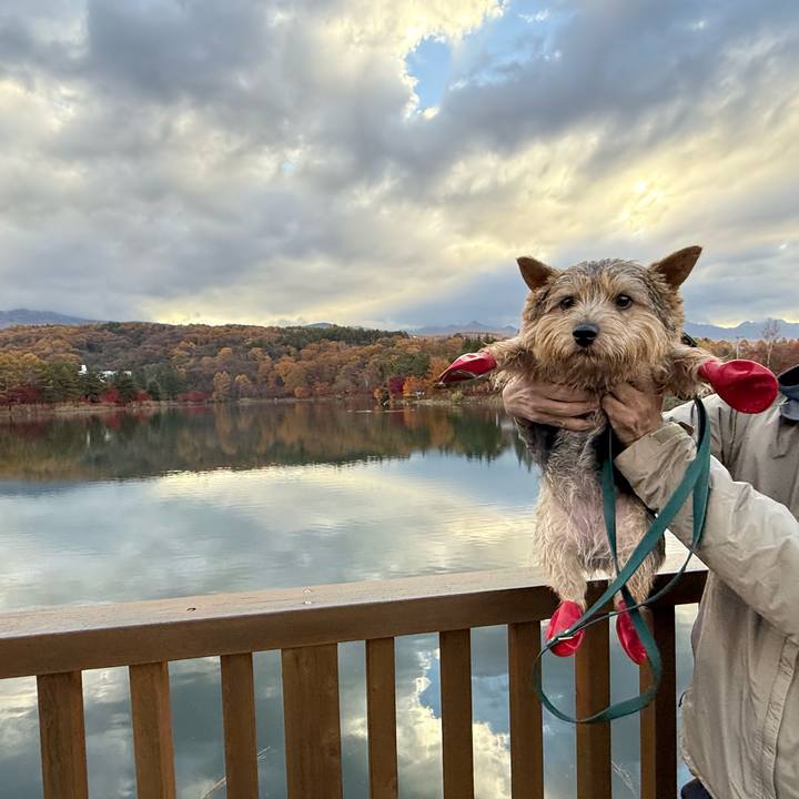 F9bb1c55 d9d7 4ac0 9fb1 8e277a29c33c 1762868844958