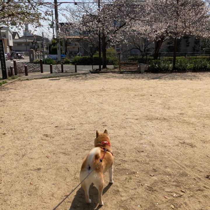 F9bb34e8 5fb5 4a20 916c 41499cfe217a 1616487281134