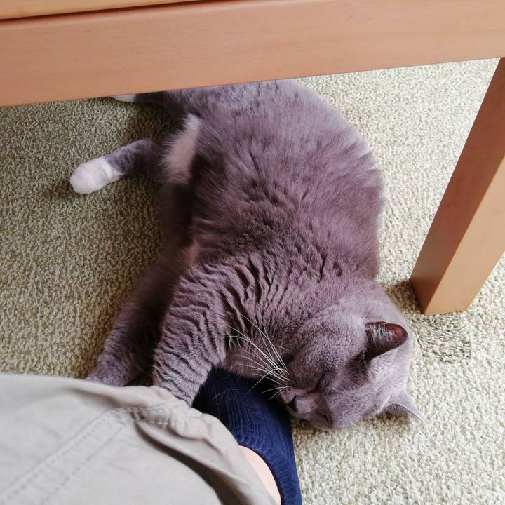 F9bb7a5f 7e0c 40ad a52d 28c7103dbb63 1697151195076