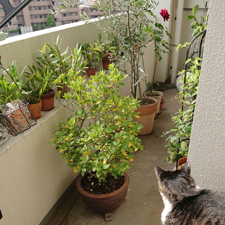 F9bb94d5 496f 4766 9daf 5849c5a29ecf 1557106455982