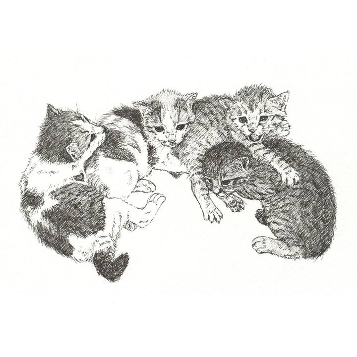 F9bbf6a4 25e4 4473 96f5 40a3fc92f4a0 1560519825812