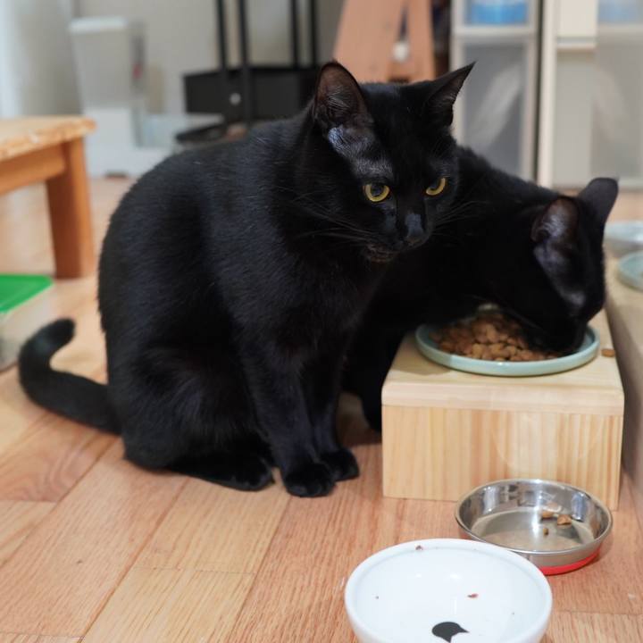 F9bbfdd0 8a23 45ac af89 f85a21880056 1584367092364