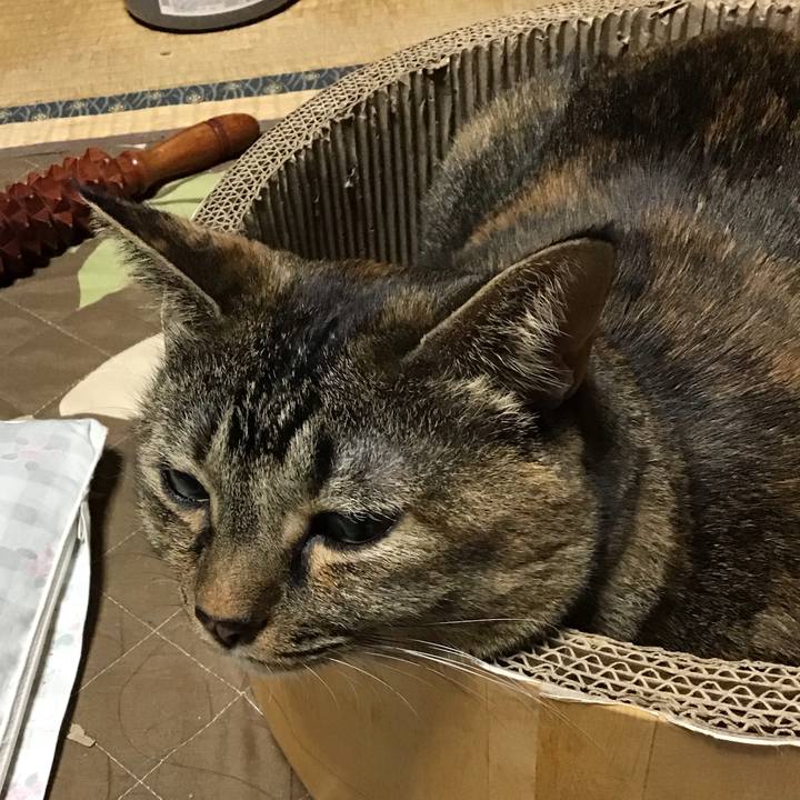 F9bc28af 69ce 4dc9 9693 7acaaab999aa 1761822893397