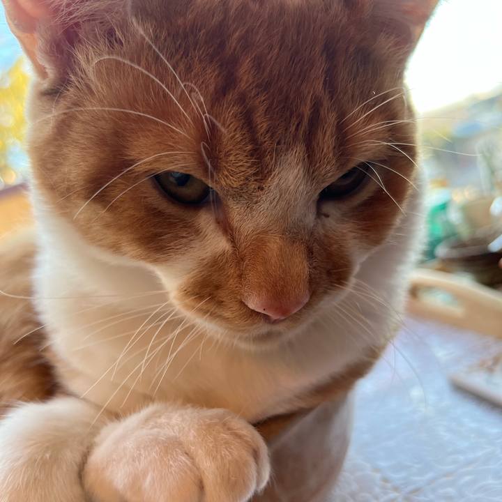 F9bc4ba8 3d9a 42e7 8ac1 9f6f99a8e545 1670910922183