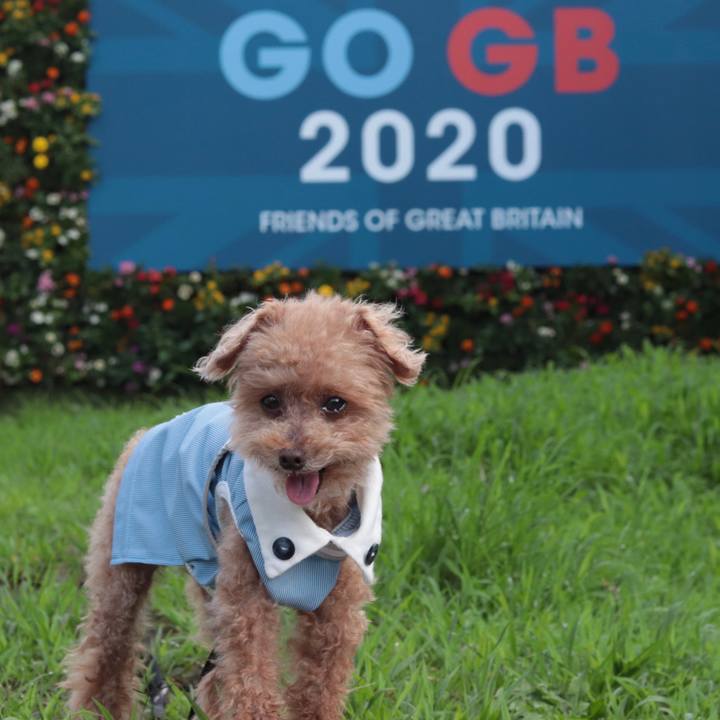 F9bc5dfd 5bb2 436f 995b a84f502e9bde 1625882473765