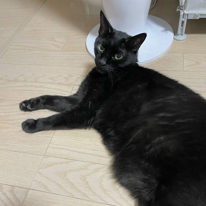 F9bcaf62 ea11 417f 90c5 a35c0a209f67 1751635573189