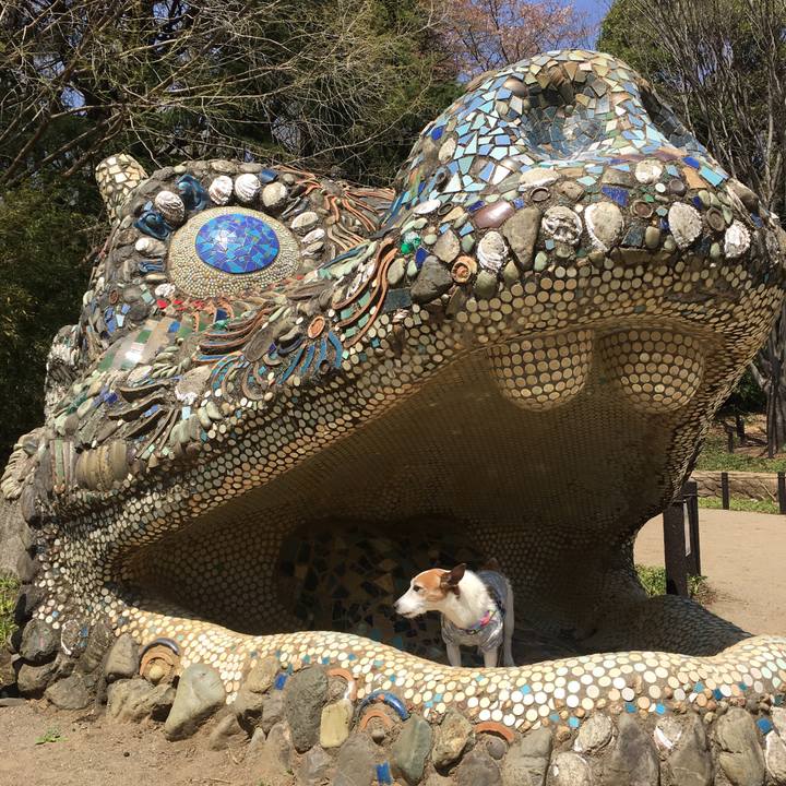 F9bcb928 742b 45e9 a9ae 470aba3586f6 1649805692819