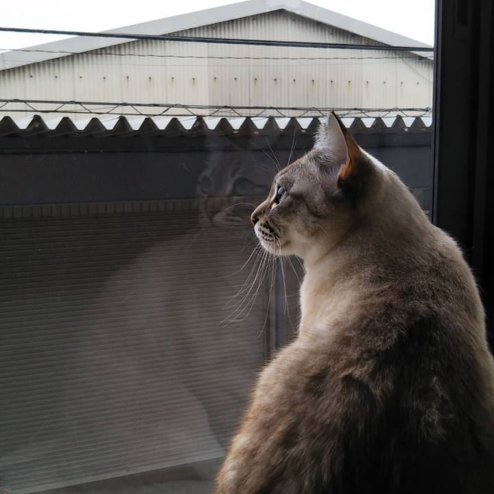 F9bce6f8 7d26 4074 a232 0cbd2af877dd 1551528138118