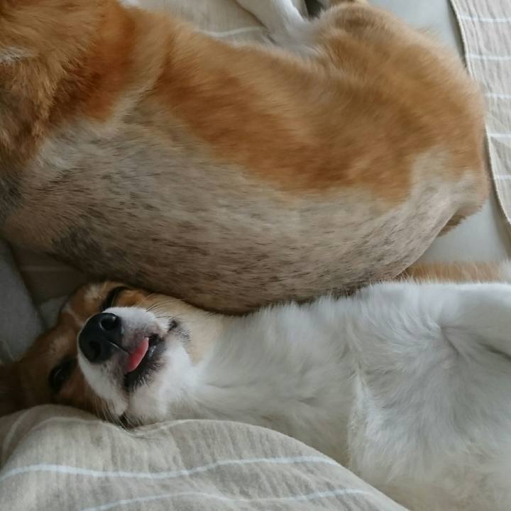 F9bcedbf 2819 4263 aee3 e932a5283735 1533449946985