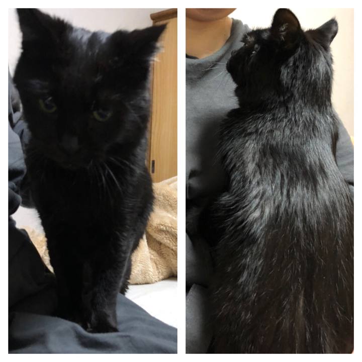 F9bd08f8 05aa 4ecc a14d 8f36c4292eaf 1609668185070