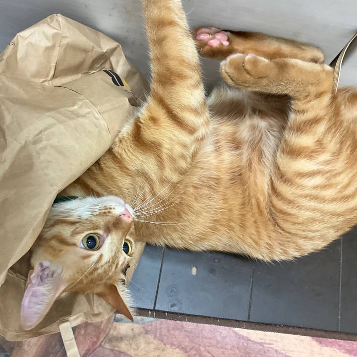 F9bd2746 6f1f 4414 ab18 2fcb6278b98c 1633566765683