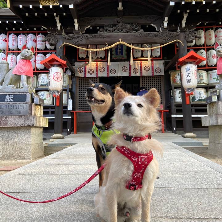 F9bd48a7 1747 4fd9 9239 46a1150e4027 1650154917786