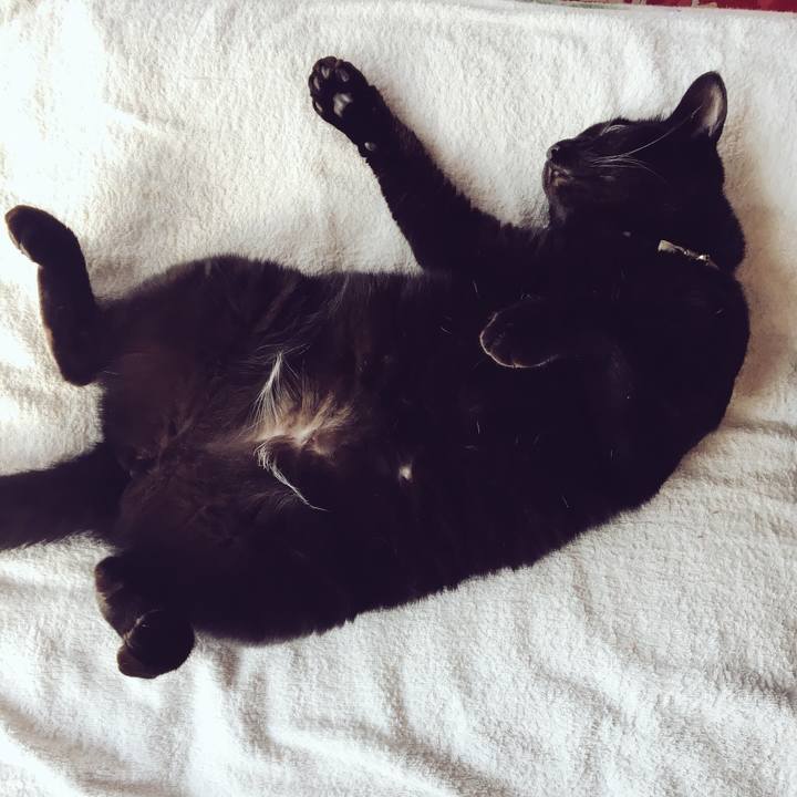 F9bd805a 3b0c 4ecd 8624 bb55c11a2ede 1525158681932