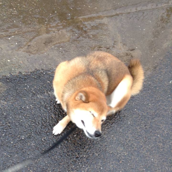 F9bd8b6b 5cb2 4891 9c55 56160522899f 1533715541778