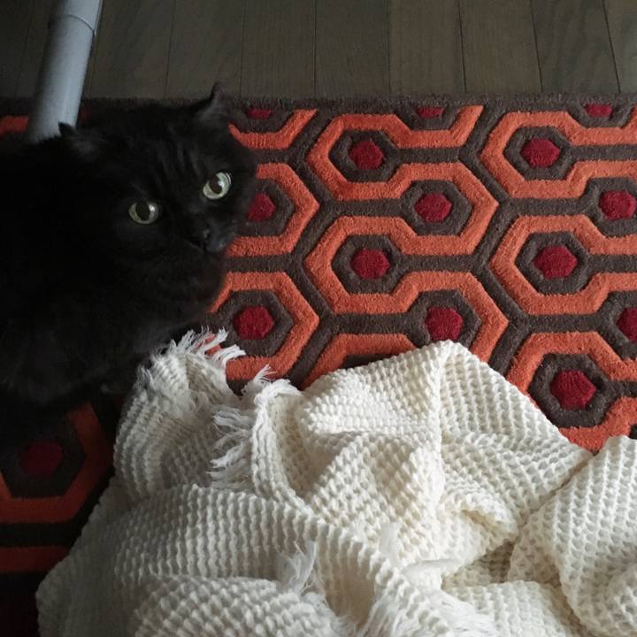 F9bda431 30de 45bd 9fb2 61fc0889bca5 1545532727238