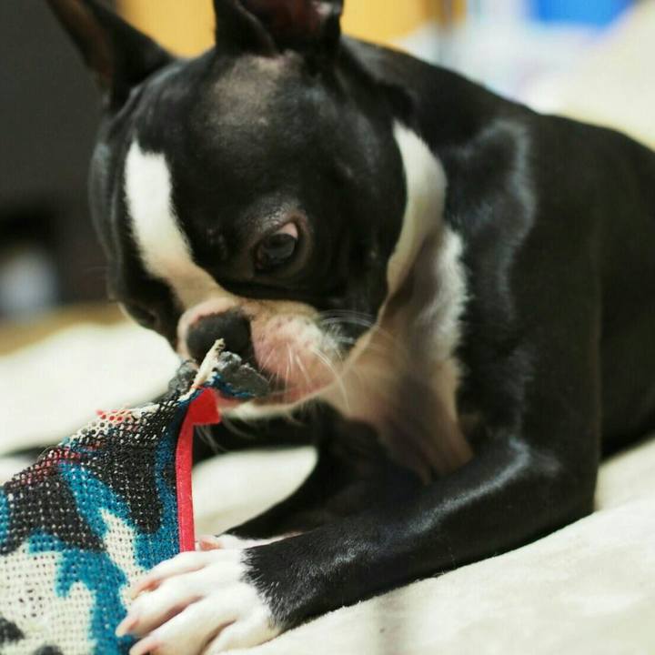 F9bdcf12 832e 426c ad53 89df06b90273 1521289897802